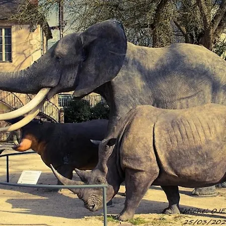 Le Jardin Des Plantes Apartment Dijon