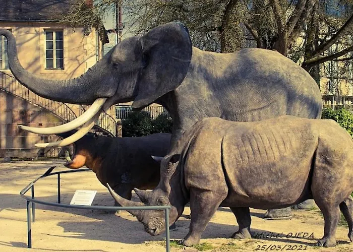Le Jardin Des Plantes アパート ディジョン